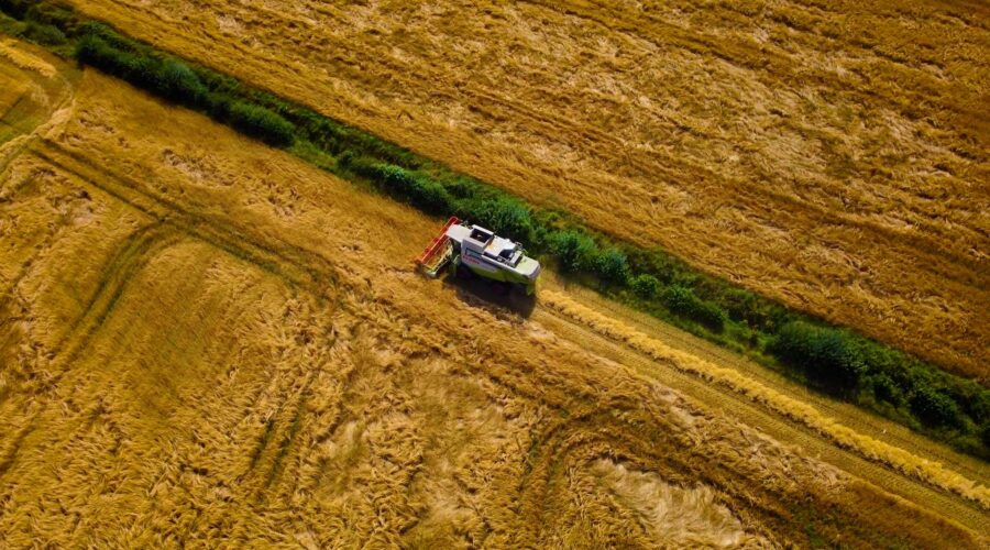 combine-harvester-in-field