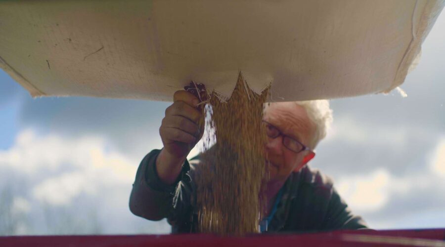 farmer cutting open a sack of barley