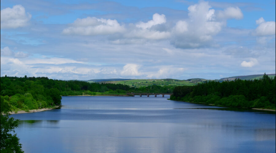 large-river-with-green-banks