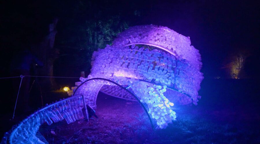 light sculpture at night in a garden